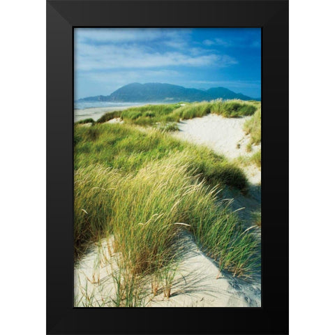Oregon Dunes Grass Black Modern Wood Framed Art Print by Majchrowicz, Alan