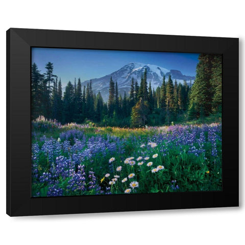 Mount Rainier Black Modern Wood Framed Art Print with Double Matting by Majchrowicz, Alan