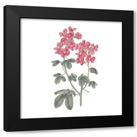 Monument Etching Tile Flowers IV Black Modern Wood Framed Art Print by Wild Apple Portfolio