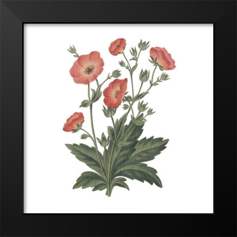 Monument Etching Tile Flowers V Black Modern Wood Framed Art Print by Wild Apple Portfolio