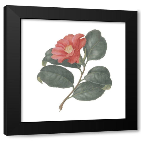 Monument Etching Tile Flowers VII Black Modern Wood Framed Art Print with Double Matting by Wild Apple Portfolio
