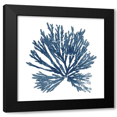 Pacific Sea Mosses Blue on White II Black Modern Wood Framed Art Print with Double Matting by Wild Apple Portfolio