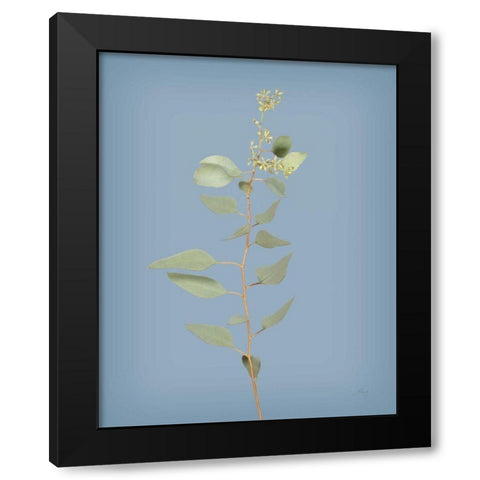 Simple Stems II Blue Crop Black Modern Wood Framed Art Print with Double Matting by Bradley, Felicity