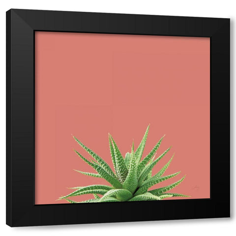 Succulent Simplicity I Coral Black Modern Wood Framed Art Print by Bradley, Felicity