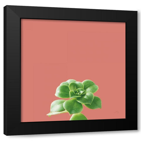 Succulent Simplicity VII Coral Black Modern Wood Framed Art Print by Bradley, Felicity