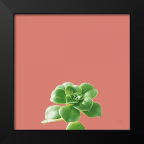 Succulent Simplicity VII Coral Black Modern Wood Framed Art Print by Bradley, Felicity