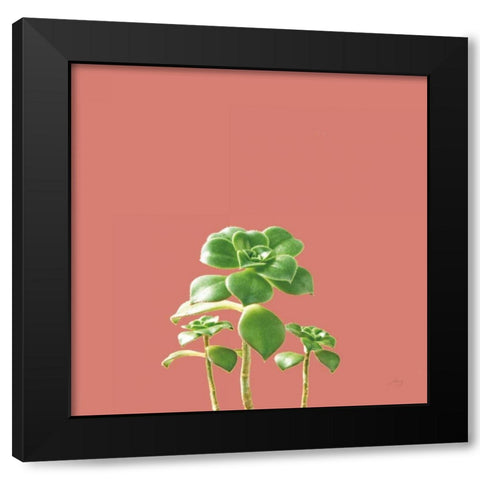 Succulent Simplicity IX Coral Black Modern Wood Framed Art Print with Double Matting by Bradley, Felicity