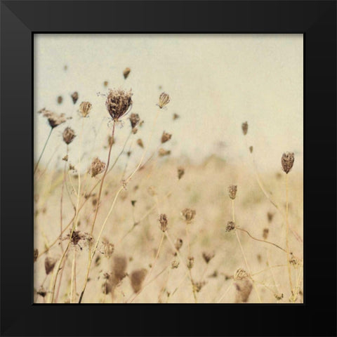 Falling Queen Annes Lace II Crop Sepia Black Modern Wood Framed Art Print by Urquhart, Elizabeth