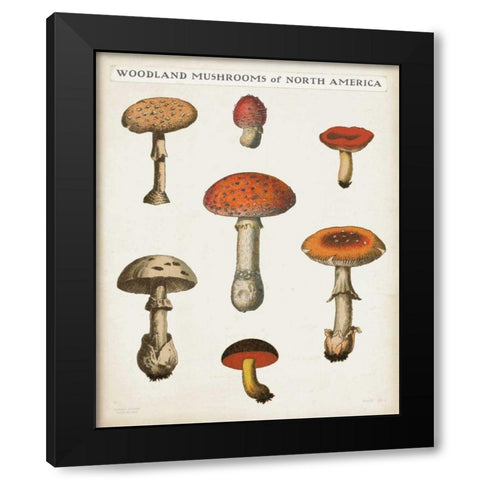 Mushroom Chart III Light Black Modern Wood Framed Art Print with Double Matting by Wild Apple Portfolio