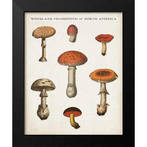 Mushroom Chart III Light Black Modern Wood Framed Art Print by Wild Apple Portfolio