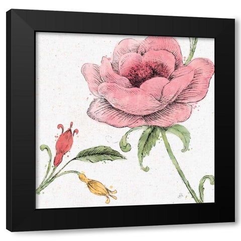 Blossom Sketches II Color Black Modern Wood Framed Art Print with Double Matting by Brissonnet, Daphne