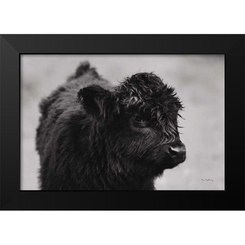 Scottish Highland Cattle XI BW Black Modern Wood Framed Art Print by Majchrowicz, Alan