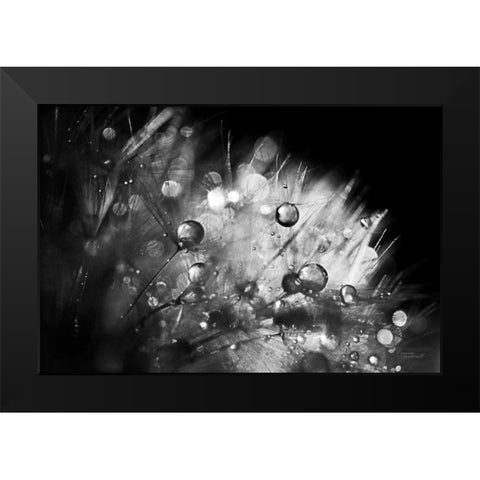 Dandelion Abstract I Black Modern Wood Framed Art Print by Marshall, Laura