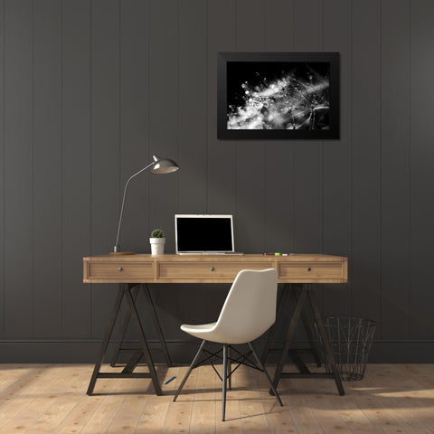 Dandelion Abstract II Black Modern Wood Framed Art Print by Marshall, Laura