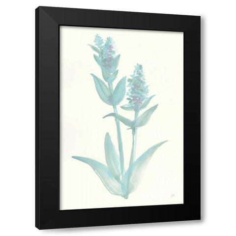 Lambs Ear Sage I Black Modern Wood Framed Art Print with Double Matting by Paschke, Chris