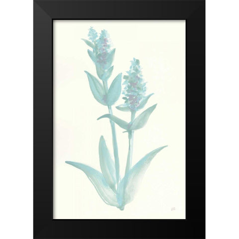 Lambs Ear Sage I Black Modern Wood Framed Art Print by Paschke, Chris