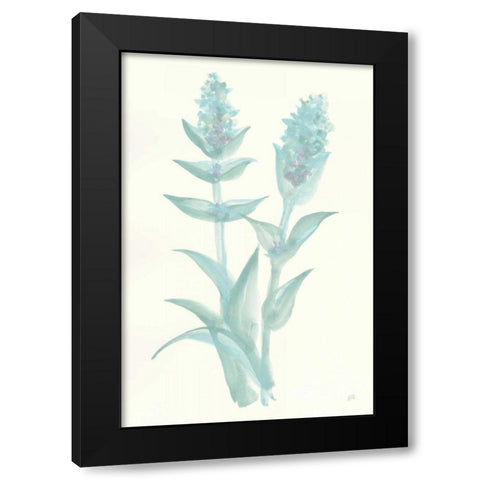 Lambs Ear Sage II Black Modern Wood Framed Art Print by Paschke, Chris
