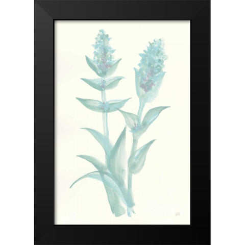 Lambs Ear Sage II Black Modern Wood Framed Art Print by Paschke, Chris
