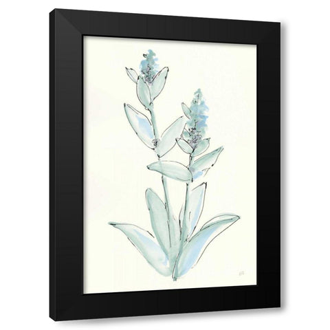 Lambs Ear Sage IV Black Modern Wood Framed Art Print by Paschke, Chris
