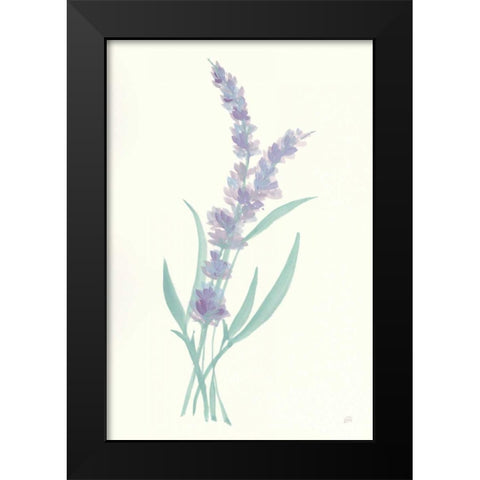 Lavender II Black Modern Wood Framed Art Print by Paschke, Chris