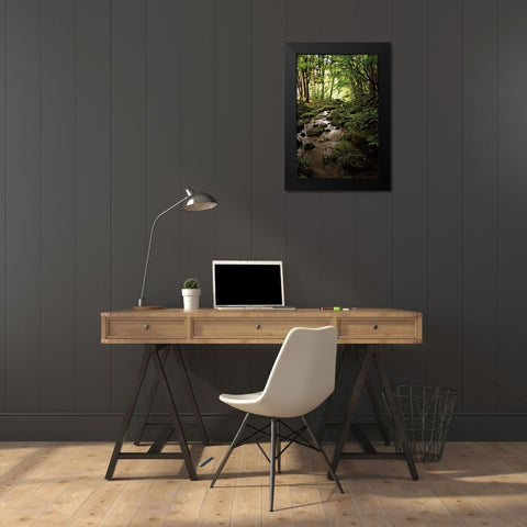 Lush Creek in Forest Black Modern Wood Framed Art Print by Van Swearingen, Debra