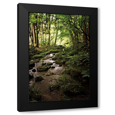 Lush Creek in Forest Black Modern Wood Framed Art Print by Van Swearingen, Debra