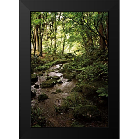 Lush Creek in Forest Black Modern Wood Framed Art Print by Van Swearingen, Debra