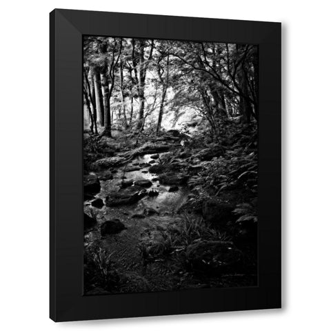 Lush Creek in Forest BW Black Modern Wood Framed Art Print with Double Matting by Van Swearingen, Debra
