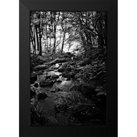 Lush Creek in Forest BW Black Modern Wood Framed Art Print by Van Swearingen, Debra