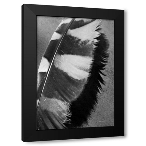 Feather Shadow I Black Modern Wood Framed Art Print with Double Matting by Van Swearingen, Debra