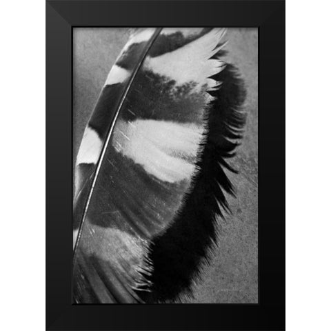 Feather Shadow I Black Modern Wood Framed Art Print by Van Swearingen, Debra