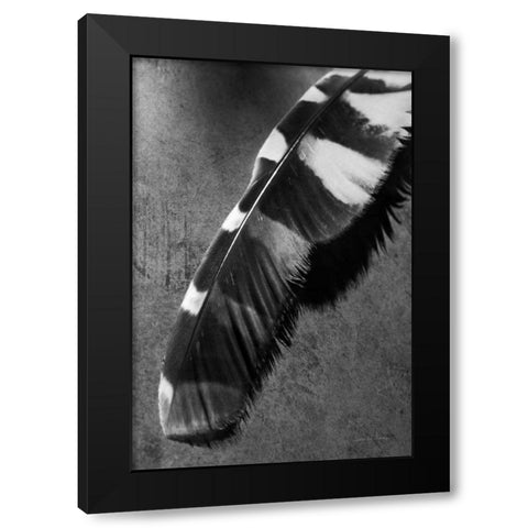 Feather Shadow II Black Modern Wood Framed Art Print by Van Swearingen, Debra