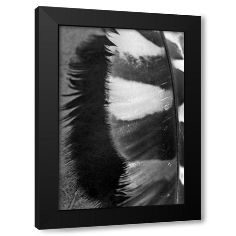 Feather Shadow III Black Modern Wood Framed Art Print with Double Matting by Van Swearingen, Debra