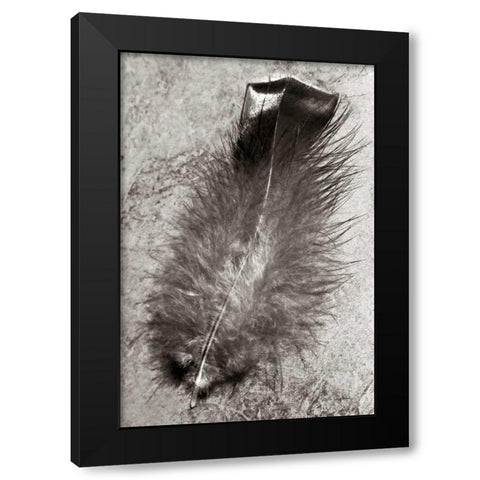 Feather Shadow IV Black Modern Wood Framed Art Print by Van Swearingen, Debra