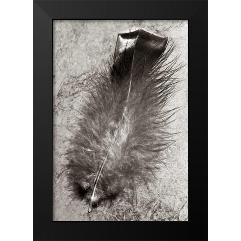 Feather Shadow IV Black Modern Wood Framed Art Print by Van Swearingen, Debra