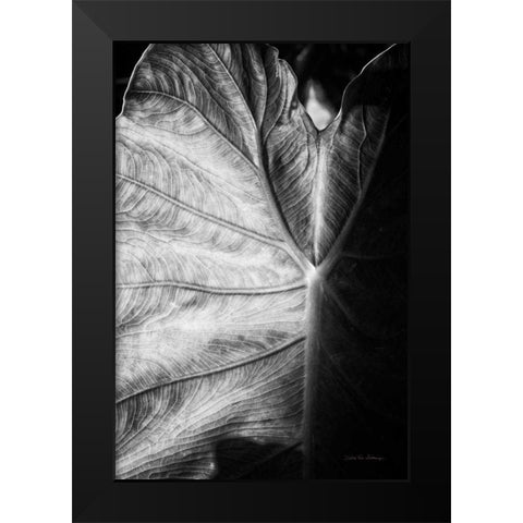 Elephant Ear I Black Modern Wood Framed Art Print by Van Swearingen, Debra