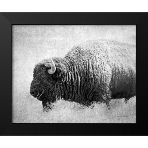 Buffalo II BW Black Modern Wood Framed Art Print by Van Swearingen, Debra