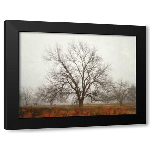 Morning Calm I Black Modern Wood Framed Art Print with Double Matting by Van Swearingen, Debra