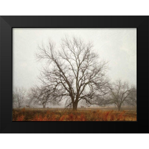 Morning Calm I Black Modern Wood Framed Art Print by Van Swearingen, Debra
