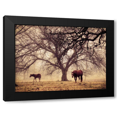 Morning Calm II Black Modern Wood Framed Art Print by Van Swearingen, Debra