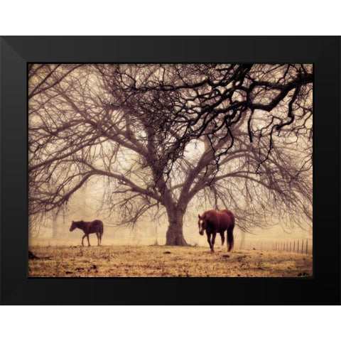 Morning Calm II Black Modern Wood Framed Art Print by Van Swearingen, Debra