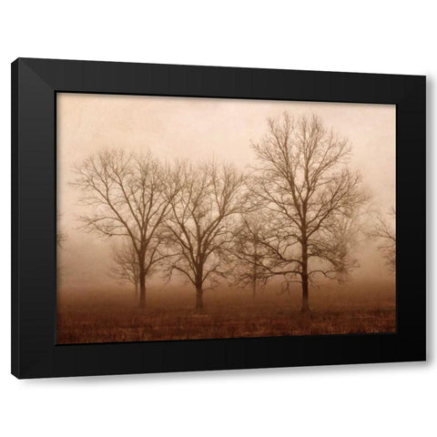 Morning Calm III Black Modern Wood Framed Art Print with Double Matting by Van Swearingen, Debra