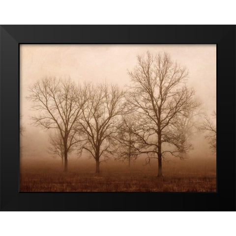 Morning Calm III Black Modern Wood Framed Art Print by Van Swearingen, Debra