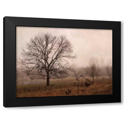 Morning Calm IV Black Modern Wood Framed Art Print with Double Matting by Van Swearingen, Debra