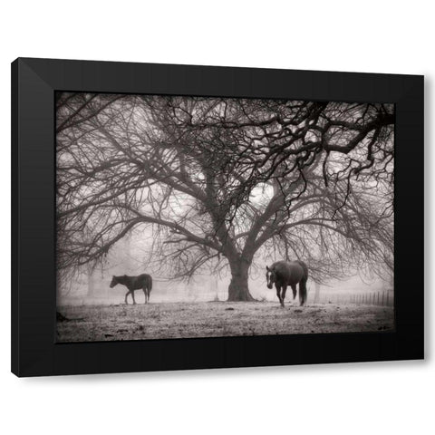 Morning Calm II BW Black Modern Wood Framed Art Print with Double Matting by Van Swearingen, Debra
