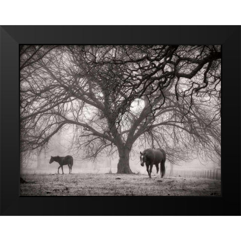 Morning Calm II BW Black Modern Wood Framed Art Print by Van Swearingen, Debra