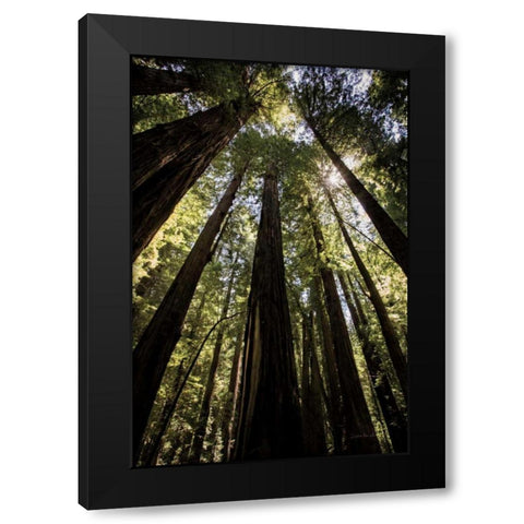 The Stand Black Modern Wood Framed Art Print with Double Matting by Van Swearingen, Debra