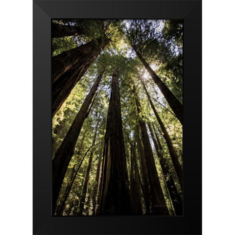 The Stand Black Modern Wood Framed Art Print by Van Swearingen, Debra