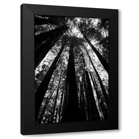 The Stand BW Black Modern Wood Framed Art Print with Double Matting by Van Swearingen, Debra