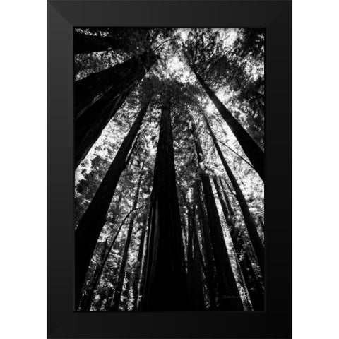 The Stand BW Black Modern Wood Framed Art Print by Van Swearingen, Debra